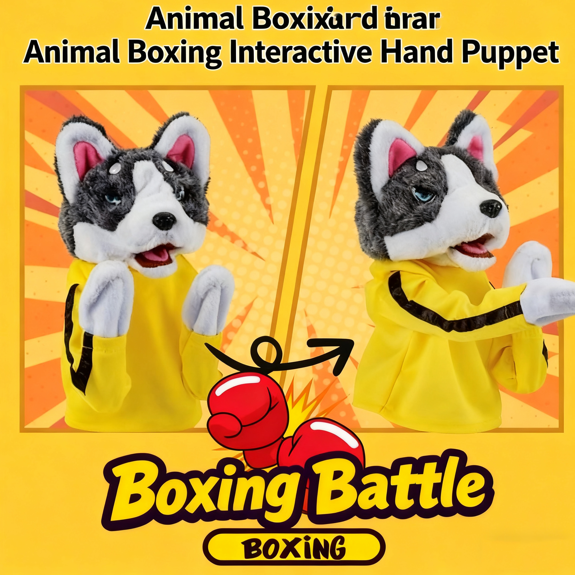 Boxing Husky