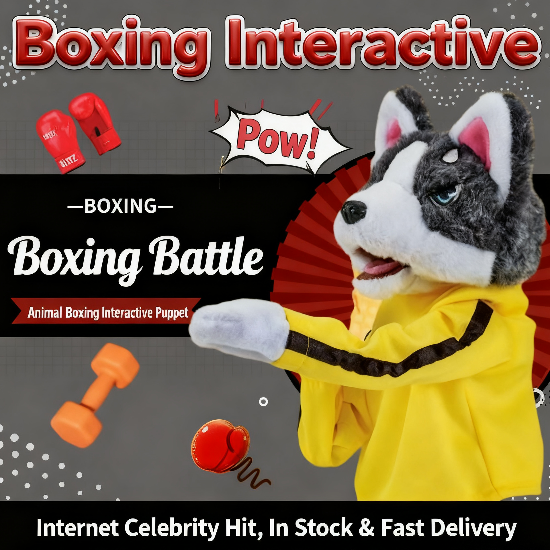 Boxing Husky
