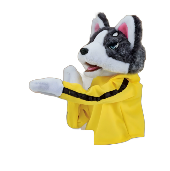 Boxing Husky
