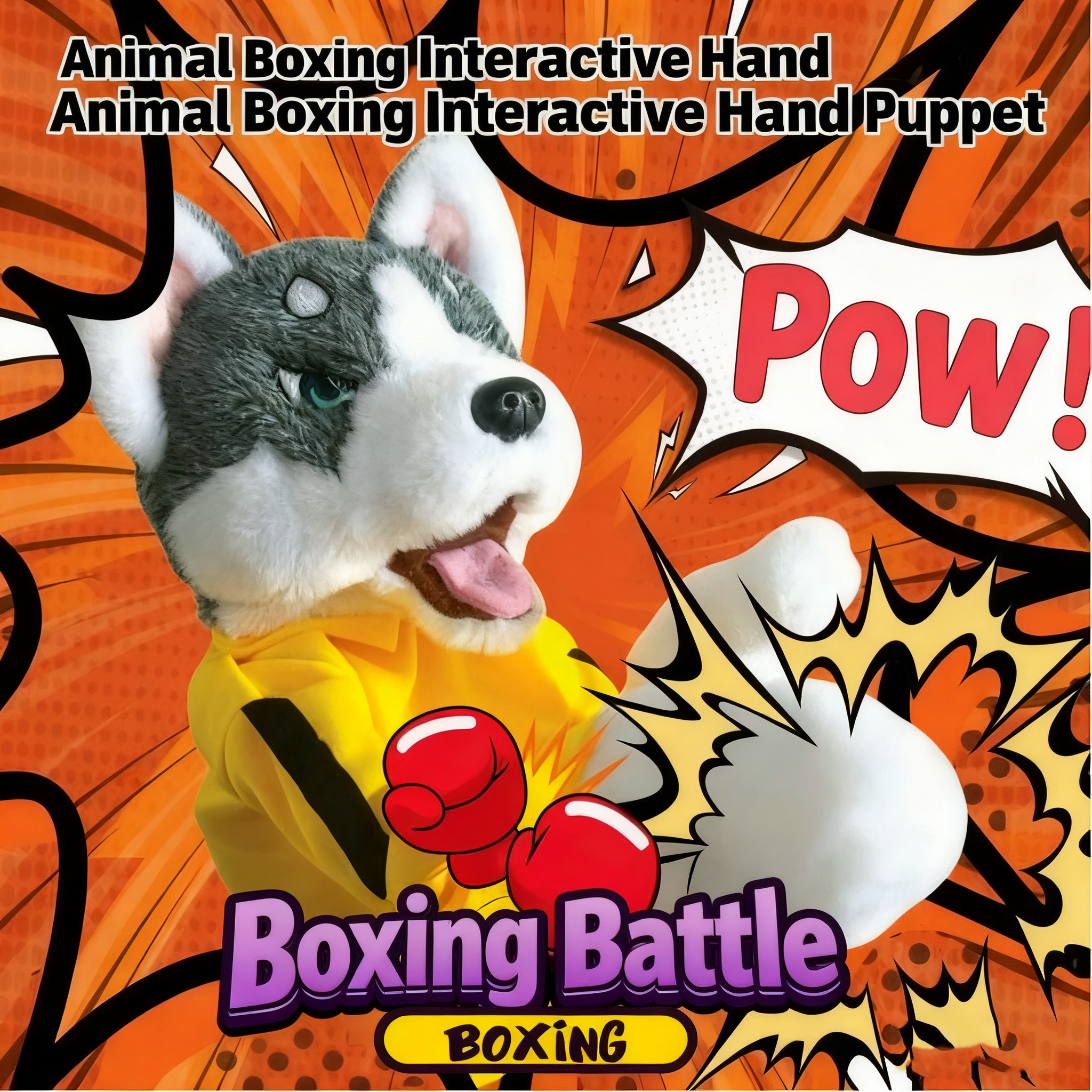 Boxing Husky